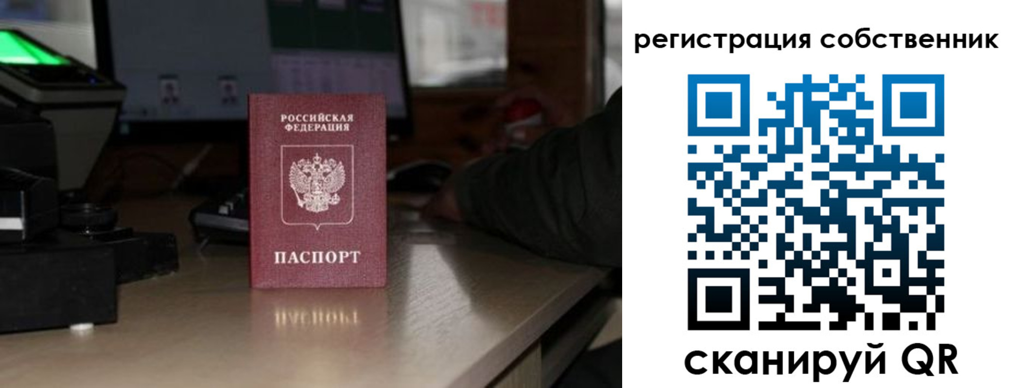 прописка поиск в Катав-Ивановске